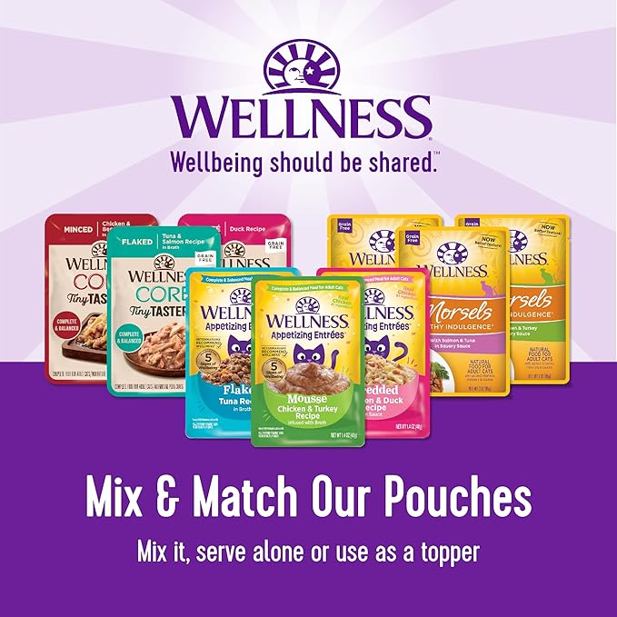 Wellness Healthy Indulgence Gravy Adult Wet Cat Food, Natural, Protein-Rich, Grain Free, 3 Ounce Pouch, 8 Pack, (Gravy Variety Pack)