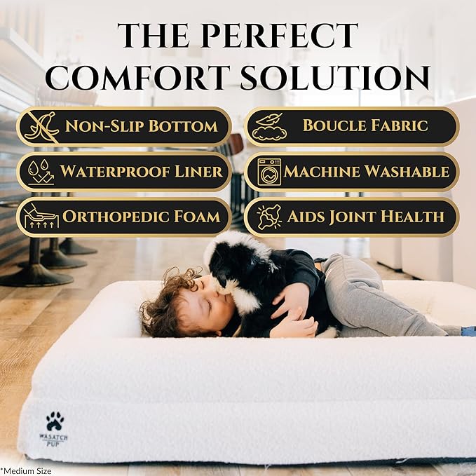 Luxury Boucle Fabric Orthopedic Dog Bed with Memory Foam | Breathable Comfort and Washable Dog Couch Bed with Waterproof Liner & Cover | Ideal Pet Beds for Small Dogs - Bone (29"x23"x6")