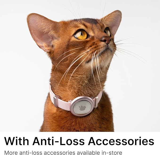 Safety Cat Collar Pro - U.S. IDA Gold Awarding Design, Elastic Quick Release Cat Collar with Buckle Non Breakaway - Lightweight for Kitten All Small Large Cats (Alpine Green, M 7.9-15.7")