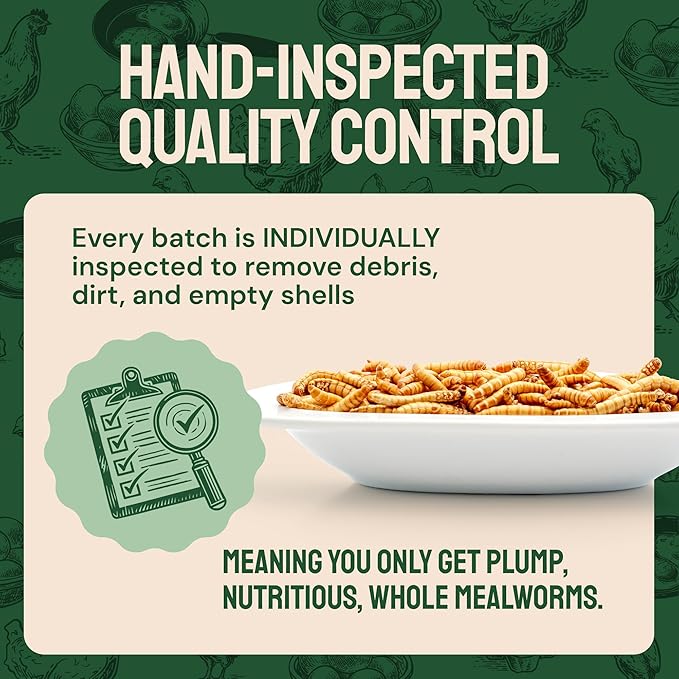 Dried Mealworms - 2 Lb Bag - High Protein Chicken Feed, Mealworms for Birds & Chickens - Meal Worms for Wild Birds & Turtles