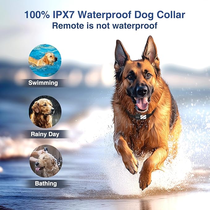Dog Shock Collar for Dogs with 3 Night Lights - 4200 FT Range Electric Dog Collars, Rechargeable Dog Training Collar with 4 Powerful Modes, E Collars for Dogs Training for 20-140 lbs Dogs