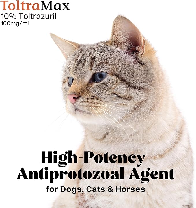 Toltrazuril 10.0% for Horses, Dogs, Cats, 240mL/8.1 Ounce, for Non-Food Chain Animals