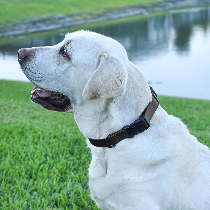 Dogline Biothane Waterproof Dog Collar with Quick Release Buckle Strong Coated Nylon Webbing with Odor- Proof for Easy Care Easy to Clean Fits Small Medium or Large Dogs, Black 3/4" W 12-19" L