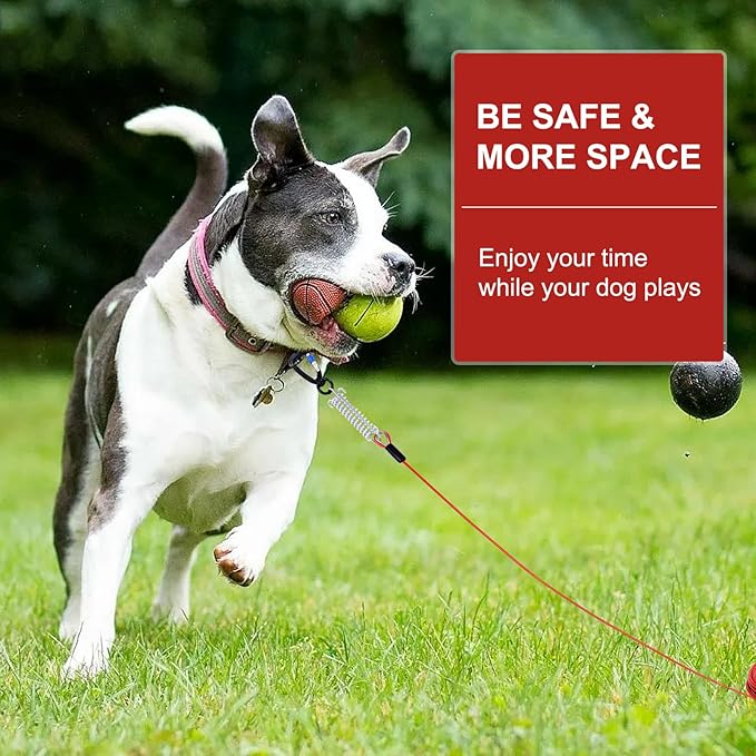Snagle Paw Dog Leads for Yard 70FT-1000LBS Break Strength,Heavy Duty Tie Out Cable for Dogs with Swivel Lockable Hook & Spring,Chew Proof Dog Chain for Outside,Dog Run Cable for Medium Large Dogs