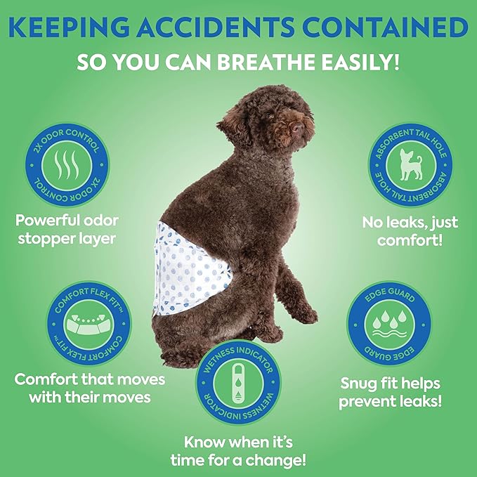 Out! PetCare Disposable Dog Diapers Male, Puppy Belly Band, Potty Training, Doggie Diapers, Belly Bands for Male Dogs, Puppy Training, Incontinence, (XS/S, 12ct)