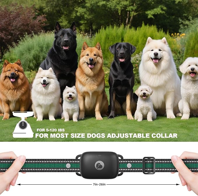 Dog Shock Collar, Dog Training Collar with Remote for Small Medium Large Dogs, Electronic Dog Collar Rechargeable with Shock Mode, 3 Safe Training Modes, Range up to 2600ft （Black）