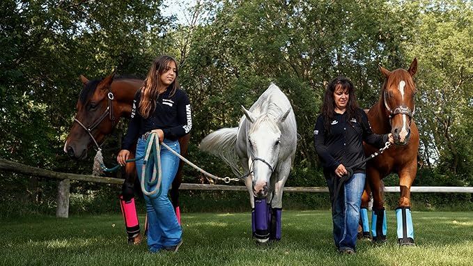 Warrior Fly Boots for Horses - Breathable Mesh Horse Boots for Fly Protection & Leg Comfort - Set of 4 (Trojan Warrior, Gray)