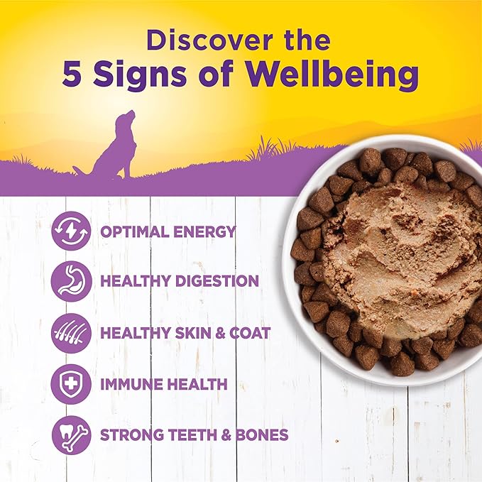 Wellness Complete Health Natural Wet Canned Dog Food, Age Advantage Chicken & Sweet Potato, 12.5-Ounce Can (Pack of 12)
