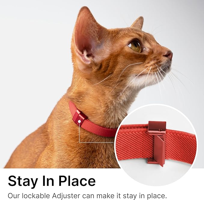 Safety Cat Collar Pro - U.S. IDA Gold Awarding Design, Elastic Quick Release Cat Collar with Buckle Non Breakaway - Lightweight for Kitten All Small Large Cats (Blush Pink, M 7.9-15.7")