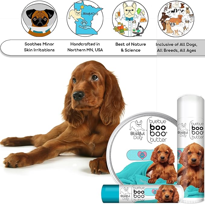 The Blissful Dog Irish Setter Boo Boo Butter, 4 Ounce