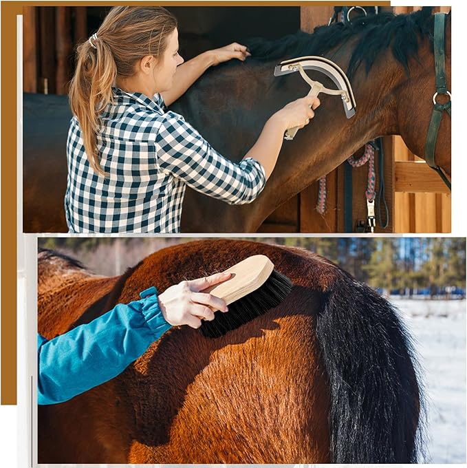 Abbylike 12 Pieces Horse Grooming Kit Racing Festival Tack Room Supplies Horse Brush Sets Equine Care Cleaning Kit Shedding Grooming Massaging Tools(Black)