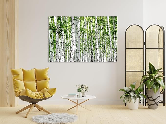 Nature Wall Art Prints - Ocean Forest Mountain Lake Canvas Landscapes - Small to Extra Large Living Room Bedroom Kitchen Bathroom Décor (Green Brich Trees, 16L" x 24W")
