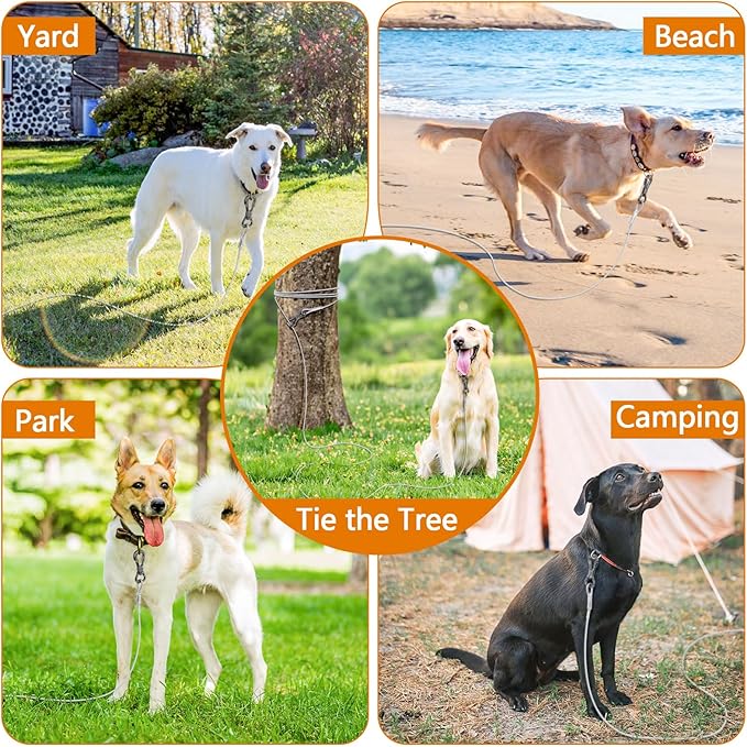 XiaZ Dog Tie Out Cable, Dog Runner for Yard Steel Wire Cable with Durable Lockable Clips, 30ft Chains for Outside Dogs Lead for Medium Dogs Up to 60 LBS