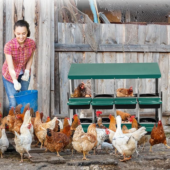 Chicken Nesting Box, 8 Hole 2 Layer Hen Nesting Box with Legs, Roll Away Eggs Laying Boxes,Cleanable Pull Out Hen Roosting Boxes