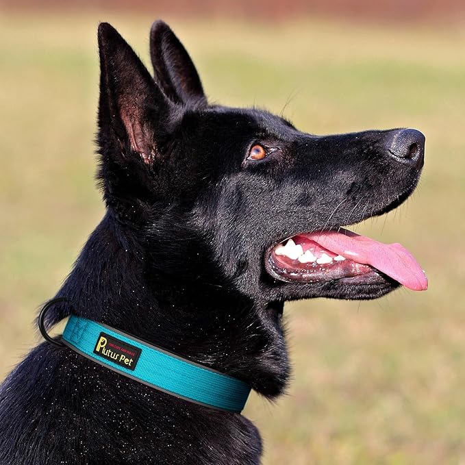 Plutus Pet Tactical Dog Collar, Reflective, Adjustable Heavy Duty Dog Collar, Soft Padded and Comfortable, for Small Medium and Large Dogs (Cyan, S)
