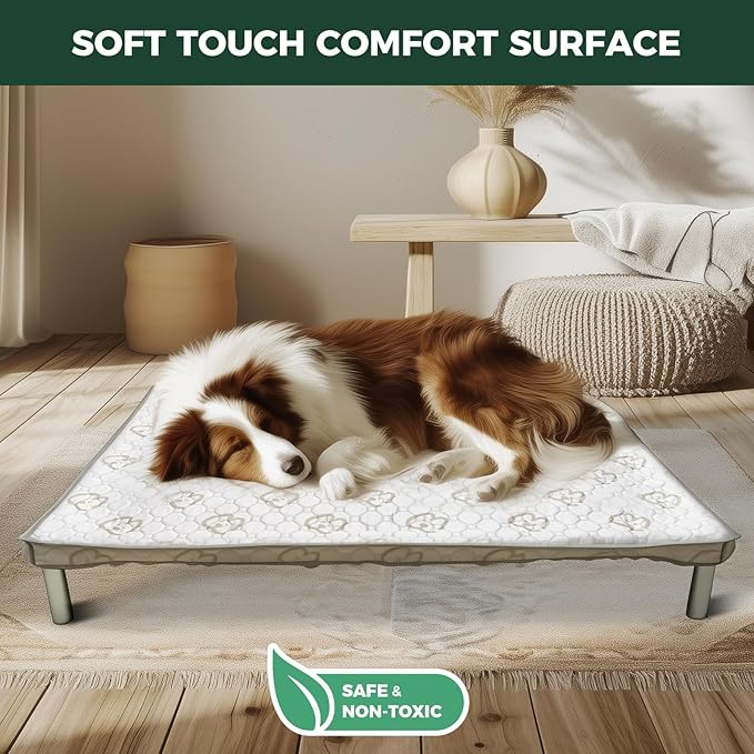 FXW TitanNest Chew-Proof Elevated Dog Bed, Raised Cot for Indoor/Outdoor/Camping Use, Durable & Waterproof Cooling Pet Bed with Exclusive Reuseable Cover for Small Dogs, 36.0"L x 24.0"W x 4.5"H, Black