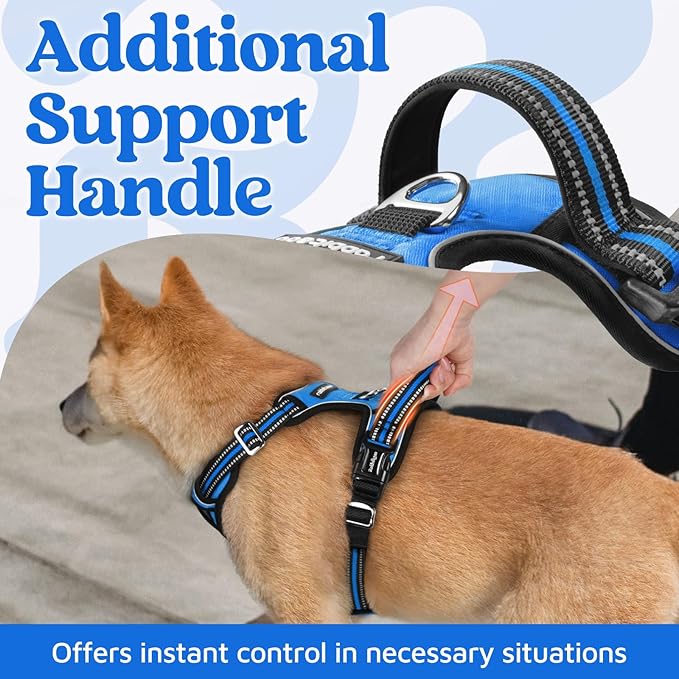 rabbitgoo Dog Harness for Large Dogs, No Pull Pet Vest with 3 Buckles, Adjustable Soft Padded Pet Harness with Easy Control Handle and Reflective Strips, Blue, XL