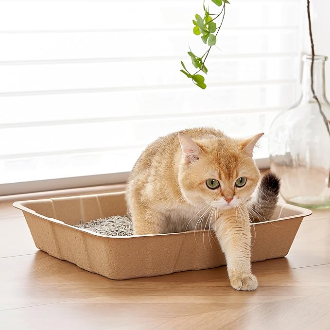 Vealind Disposable Cat Litter Boxes, Cardboard Cats Litter Tray Cat Travel Toilet Litter Pan Liners Cats and Small Animals Leakproof Litter Box (5 Pack)