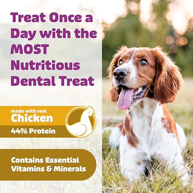 Dog Dental Treats – Vet VOHC Approved, Removes Tartar & Cleans Teeth – Yummy High Protein Chicken Treat for Medium Dogs (Mini Pack, 9 Count)