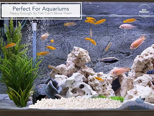 Royal Imports 30LBS River Rocks Decorative Ornamental Pebbles, Garden Landscaping Stones, Gravel Filler for Plants, Vases, Succulents, Home Decor, Aquariums, Crafting, Animal Habitat - Small White