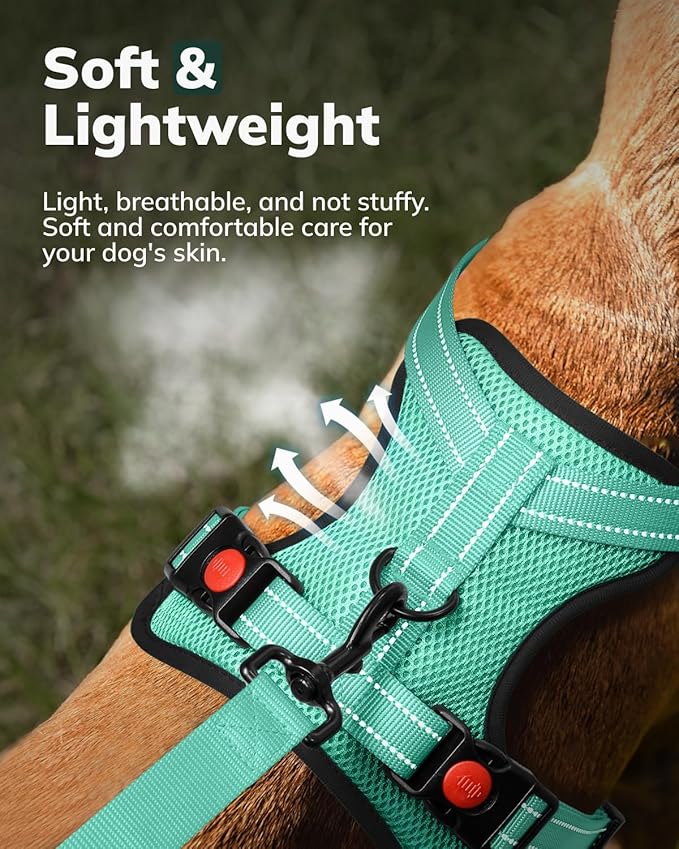 MIDOG No-Pull Dog Harness | Adjustable & Reflective Pet Harness Leash Set for Small Medium Large Dogs Walking, Training| No Choke, Front Clip, Soft Padded Vest with Easy Control Handle - Green, XS