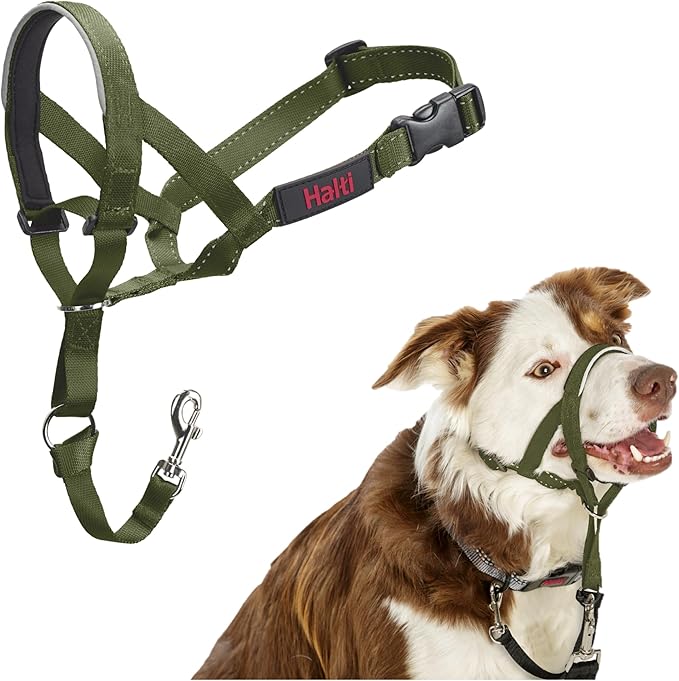 HALTI Headcollar - to Stop Your Dog Pulling on The Leash. Adjustable, Reflective and Lightweight, with Padded Nose Band. Dog Training Anti-Pull Collar for Medium Dogs (Size 2, Forest Green)