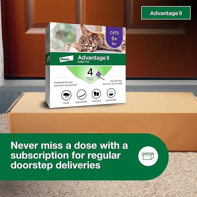 Advantage II Large Cat Vet-Recommended Flea Treatment & Prevention | Cats Over 9 lbs. | 4-Month Supply