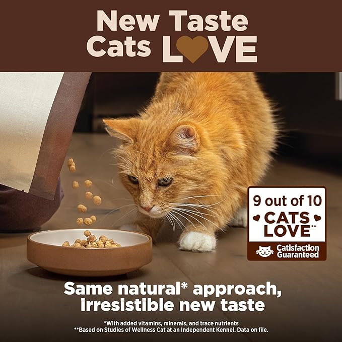 Wellness CORE+ Adult Dry Cat Food for Indoor and Outdoor Cats, Wholesome Grains, Natural, Digestive Health Chicken & Rice (5 Pound Bag)