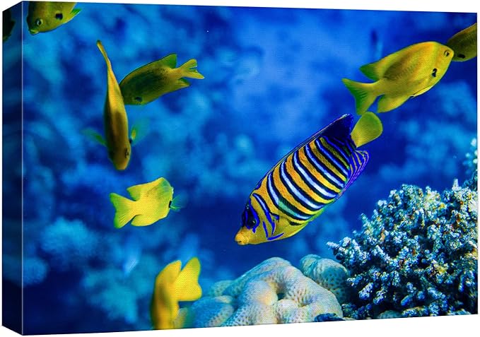 wall26 Canvas Print Wall Art Striped Yellow Tropical Fish Coral Reef Sea Nature Animals Photography Realism Rustic Scenic Landscape Wilderness Colorful for Living Room, Bedroom, Office - 16"x24"