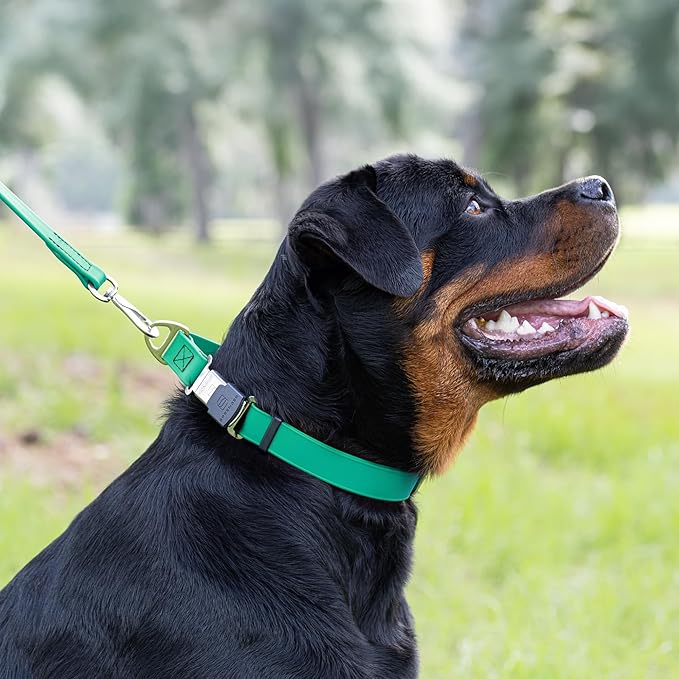 Dogline Biothane Waterproof Dog Collar with Herm Sprenger Stainless Steel Quick Release Buckle – Heavy Duty Tactical Durable Collar for Dogs – Comfortable and Safe Pet Collar, W 3/4" L 12-19", Teal