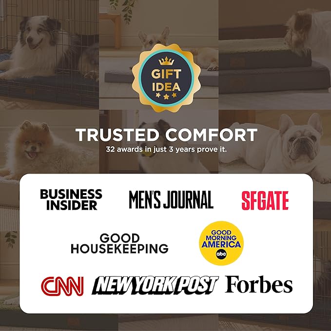 Bedsure Dog Bed for Small Dogs - Orthopedic Flat Puppy Beds with Removable Washable Cover, Egg Crate Foam Pet Mat, Suitable for Pet Up to 20 lbs
