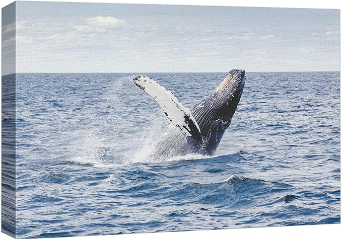 wall26 Canvas Print Wall Art Tropical Ocean Sea Water Horizon Blue Whale Nature Animals Photography Realism Rustic Scenic Landscape Wilderness Colorful for Living Room, Bedroom, Office - 32"x48"