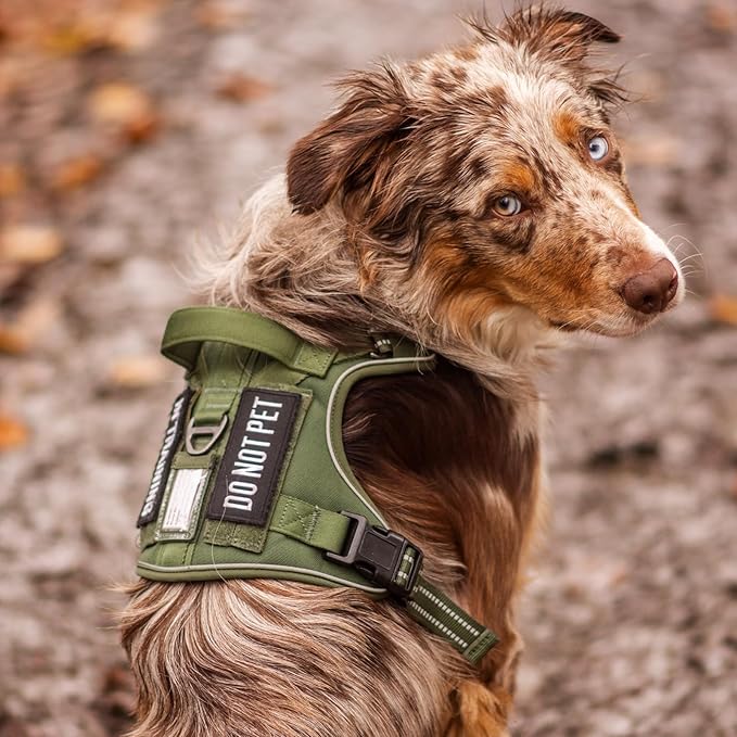 rabbitgoo Dog Harness for Large Dogs No Pull, Tactical Service Pet Vest with Molle and Control Handle, Adjustable and Reflective Military Harness for Easy Walking and Training, Orange, XL