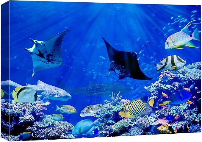 wall26 Canvas Print Wall Art Vibrant Sunlight Ray Ocean Shark Fish Reef Nature Animals Photography Realism Rustic Scenic Landscape Wilderness Earth for Living Room, Bedroom, Office - 32"x48"