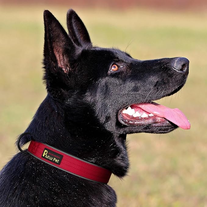 Plutus Pet Tactical Dog Collar, Reflective, Adjustable Heavy Duty Dog Collar, Soft Padded and Comfortable, for Small Medium and Large Dogs (Red, S)