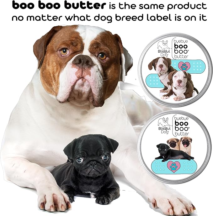 The Blissful Dog Pomeranian Boo Boo Butter, 16 oz.