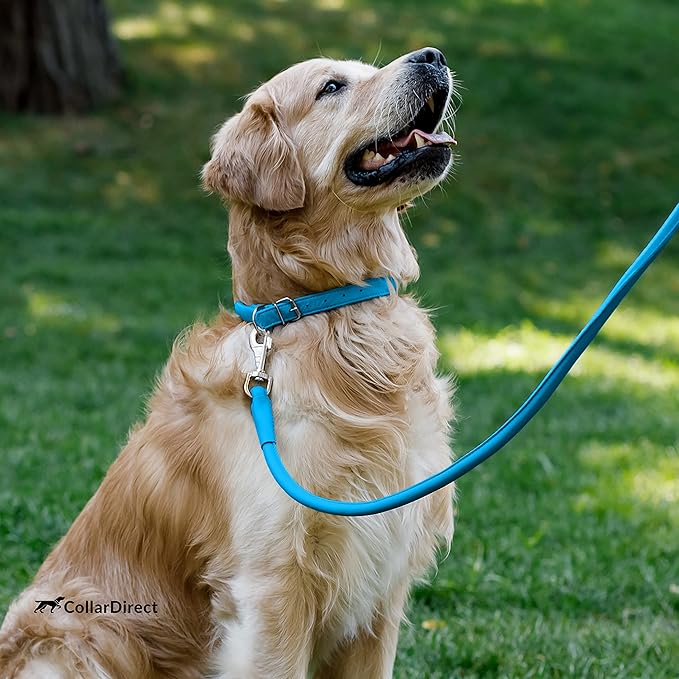 CollarDirect Rolled Leather Dog Collar, Soft Padded Round Puppy Collar, Handmade Genuine Leather Collar Dog Small Large Cat Collars 13 Colors (8-11 Inch, Light Blue Textured)