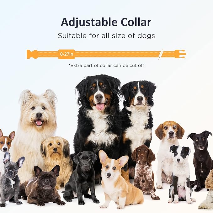 PATPET Electric Dog Shock Collar for Small Medium Large Dogs - 3 Safe Modes, Rechargeable Waterproof E Collar (8-120 lbs)