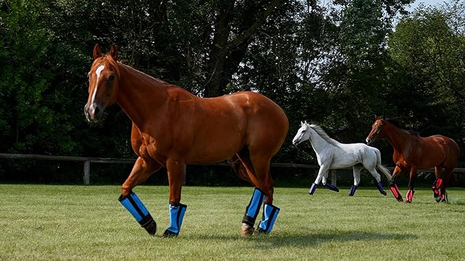 Warrior Fly Boots for Horses - Breathable Mesh Horse Boots for Fly Protection & Leg Comfort - Set of 4 (Trojan Warrior, Gray)
