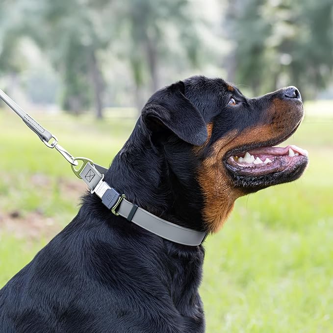 Dogline Biothane Waterproof Dog Collar with Herm Sprenger Black Stainless Steel Quick Release Buckle – Heavy Duty Tactical Durable Collar for Dogs – Comfortable and Safe Pet Collar W 1" L 15-25" Gray
