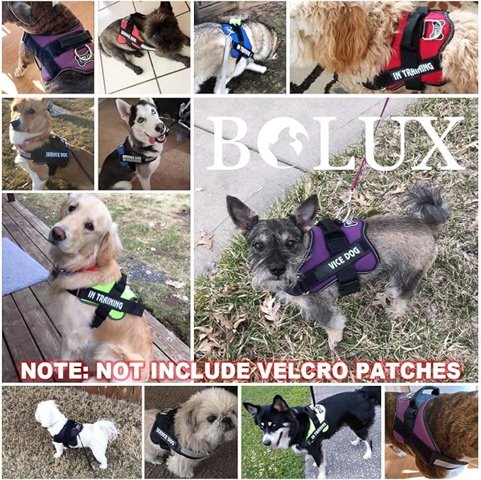 Bolux Dog Harness, No-Pull Reflective Dog Vest, Breathable Adjustable Pet Harness with Handle for Outdoor Walking - No More Pulling, Tugging or Choking (Pink, XS)