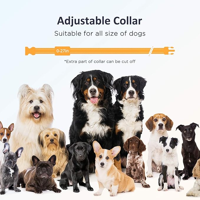 PATPET Dog Training Collar with Remote - Electric Dog Shock Collar for Small Medium Large Dogs - 3 Adjustable Safe Modes, Rechargeable Waterproof E Collar for Dogs (8-120 lbs)