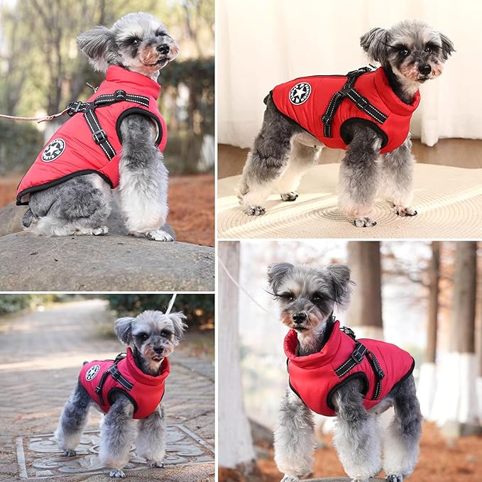 HDKUW Small Dog Jacket, Small Dog Coat Harness Winter Warm Vest Jacket Waterproof Cotton Costume for Puppy Small Dogs (S, Red)