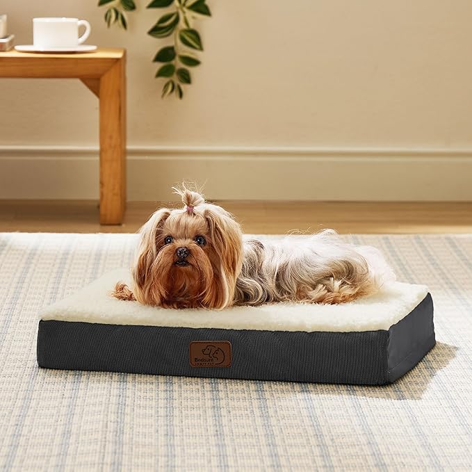 Bedsure Dog Bed for Small Dogs - XS Orthopedic Flat Puppy Beds with Removable Washable Cover, Egg Crate Foam Pet Mat, Suitable for Pet or Cats Up to 15 lbs