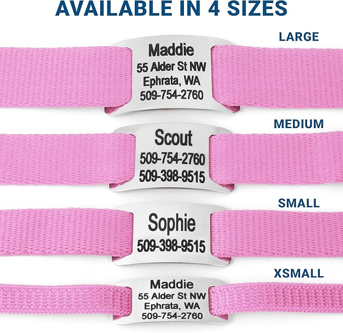 GoTags Personalized Dog Collar with Nameplate, Adjustable Dog Collar with Custom Engraved Slide On Pet ID Tag in Stainless Steel, Silent, No Noise Dog Tag for Large Medium and Small (Pink, Large)