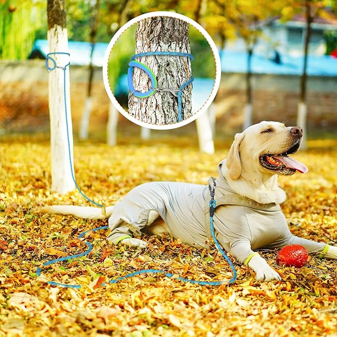 NTR Training Leash, 30FT Blue Check Cord Rope Lead, with 2 Swivel Hooks, Reflective Threads and Comfortable Handle, Puppy Leash for Walking, Hunting, Camping, Backyard for Small Medium and Large Dogs
