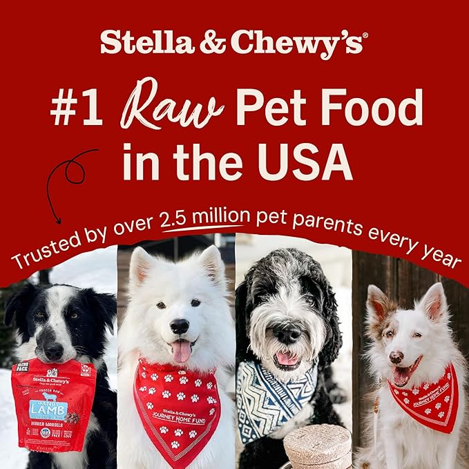 Stella & Chewy's Freeze-Dried Raw Dinner Patties - Chicken Recipe - High Protein Grain-Free Puppy & Dog Food - Perfect For Picky Eaters - 14 oz
