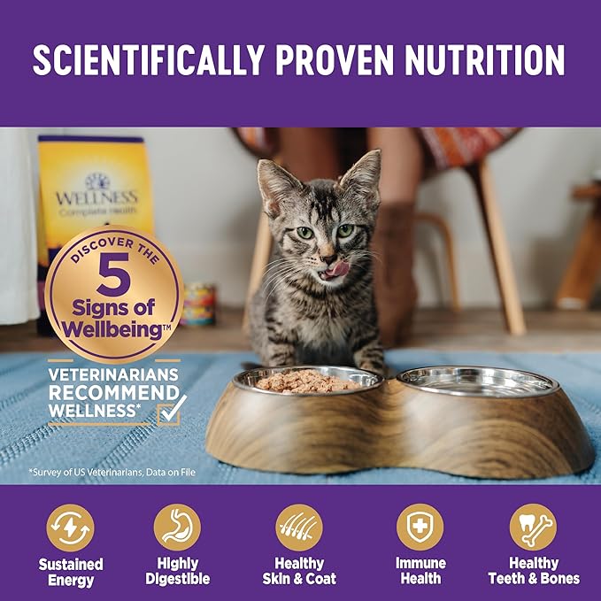Wellness Complete Health Sliced Adult Wet Cat Food, Natural, Protein-Rich, Grain Free, 5.5 Ounce, 24 Pack, (Turkey & Salmon Entrée)