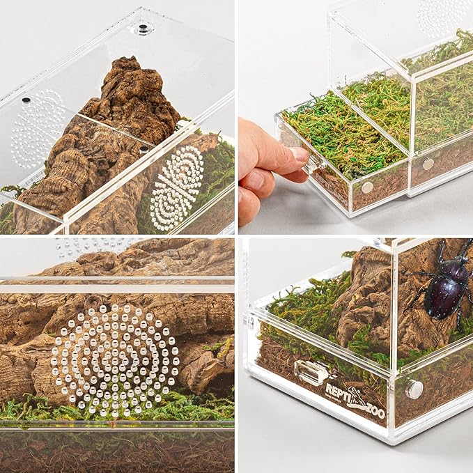 REPTI ZOO Magnetic Acrylic Reptile Terrarium 8" x 4" x 4", Transparent Tarantula Spider Enclosure Micro Breeding Box for Hermit Crab Snail Mantis Frog Insects