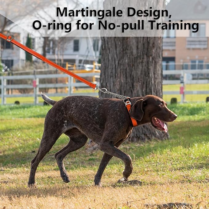 Plutus Pet Martingale Dog Collar with Stainless Steel Chain and Reflective Nylon, Adjustable No Pull Training Collar, for Small Medium, and Large Dogs, Orange, S
